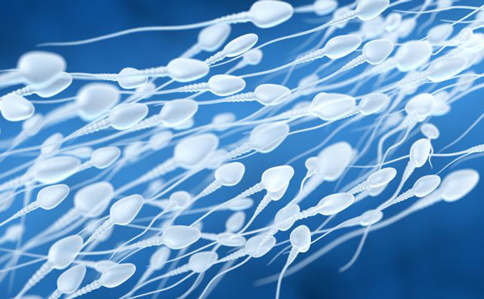 Male Infertility on the rise