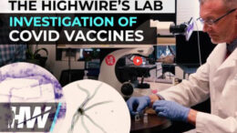 COVID Vaccines Investigation