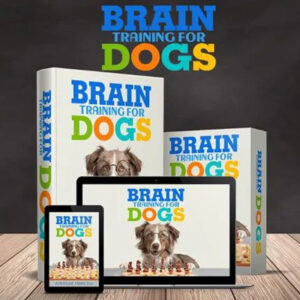 Brain Training for Dogs Course